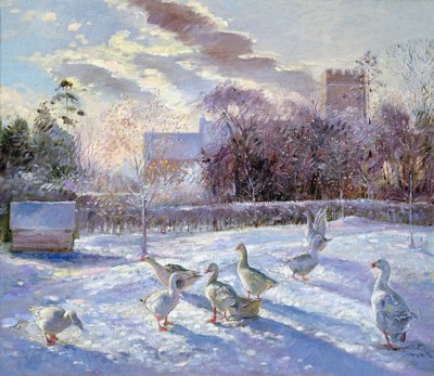 Oche invernali nel prato della chiesa da Timothy Easton